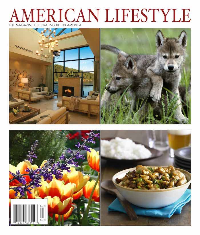 Issue 29 of American Lifestyle magazine