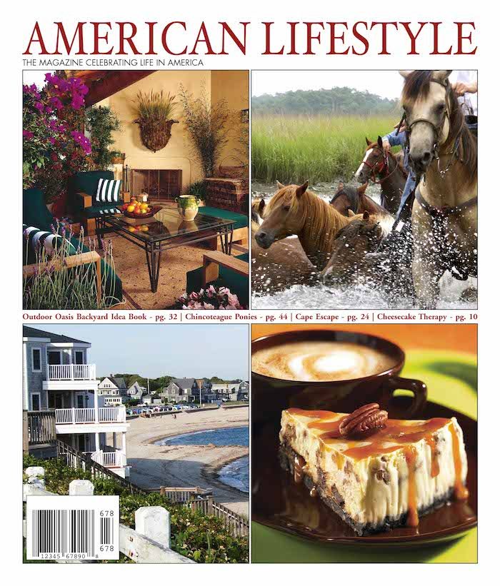 Issue 31 of American Lifestyle magazine