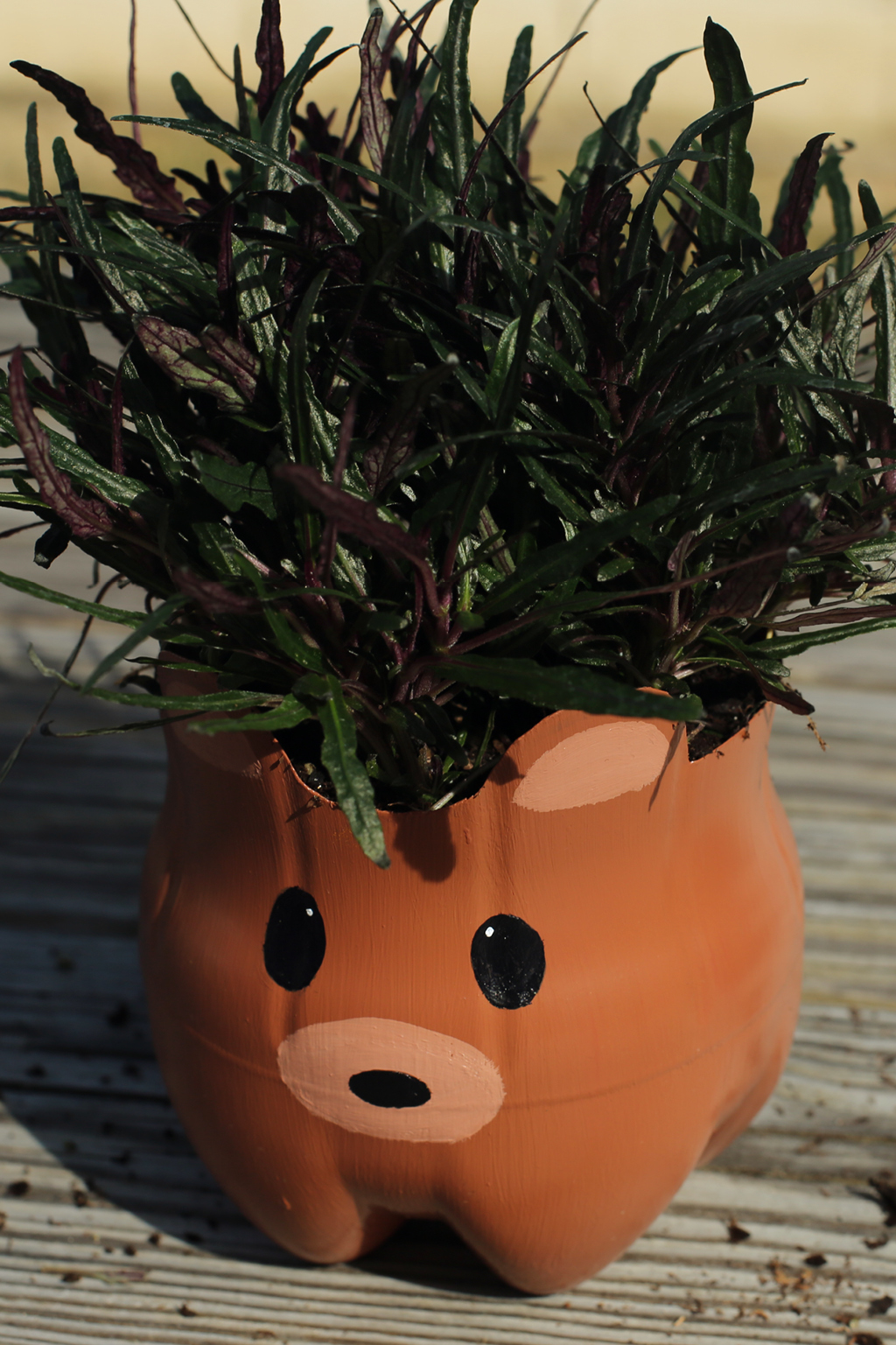 Bear Plant Pal