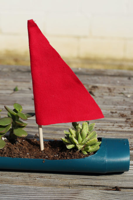 Plastic sailboat craft with planted succulents