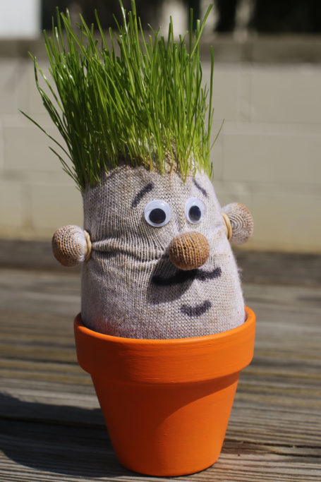 Sock Man Plant Pal
