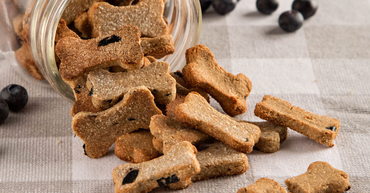 Blueberry-Banana Dog Treats - American Lifestyle Magazine