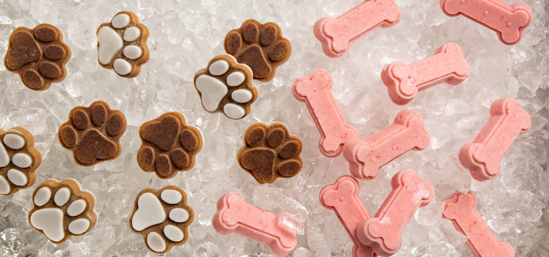 frozenpuppytreatsmain American Lifestyle Magazine
