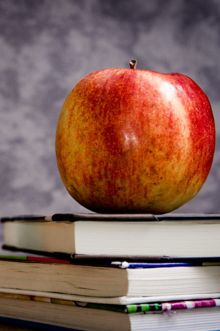 Out of the Box Lunch Ideas