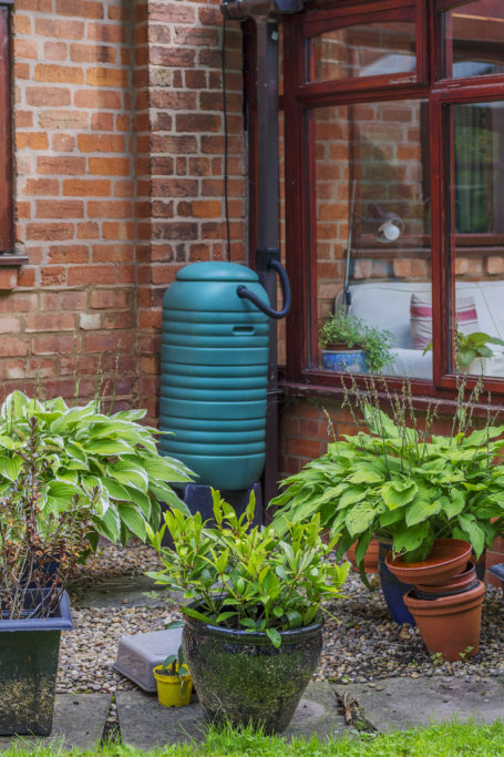 Water Efficient Garden