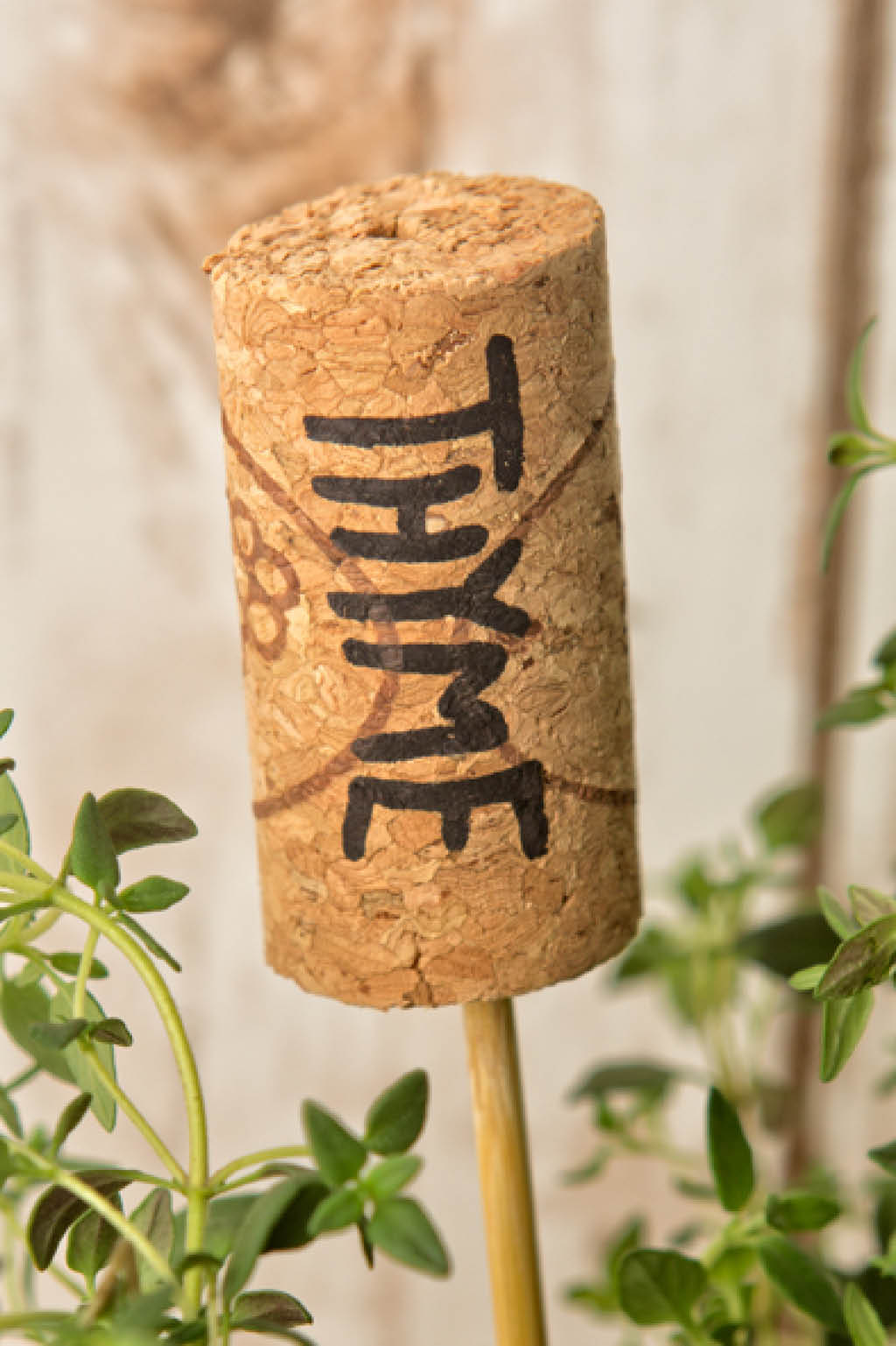diy-wine-cork-plant-marker