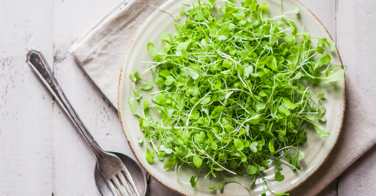 Fresh Eating with Microgreens - American Lifestyle Magazine