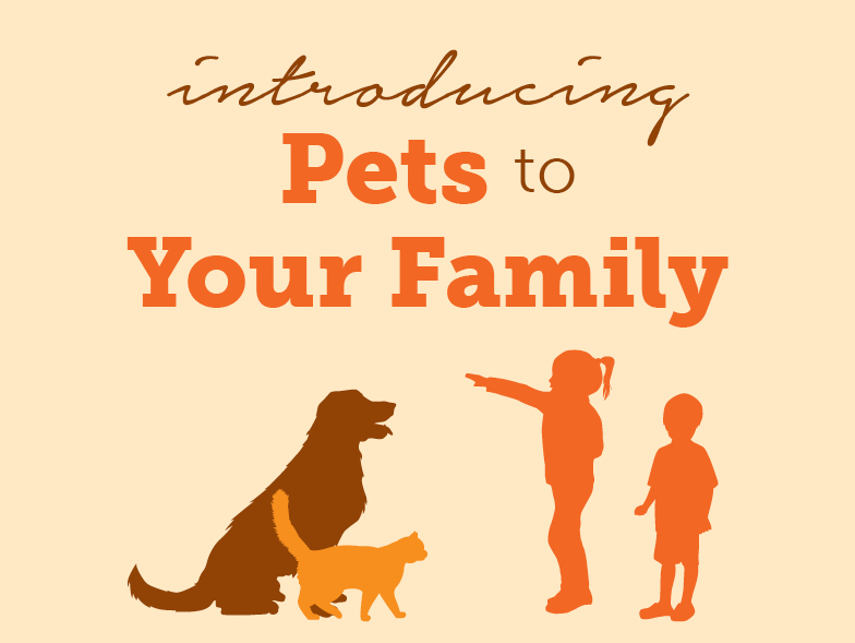 Introducing Pets to Your Family