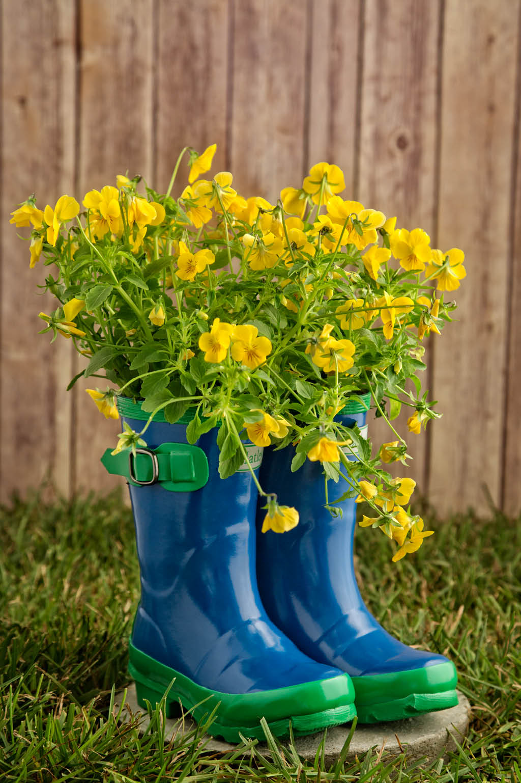 rain-boot-planter