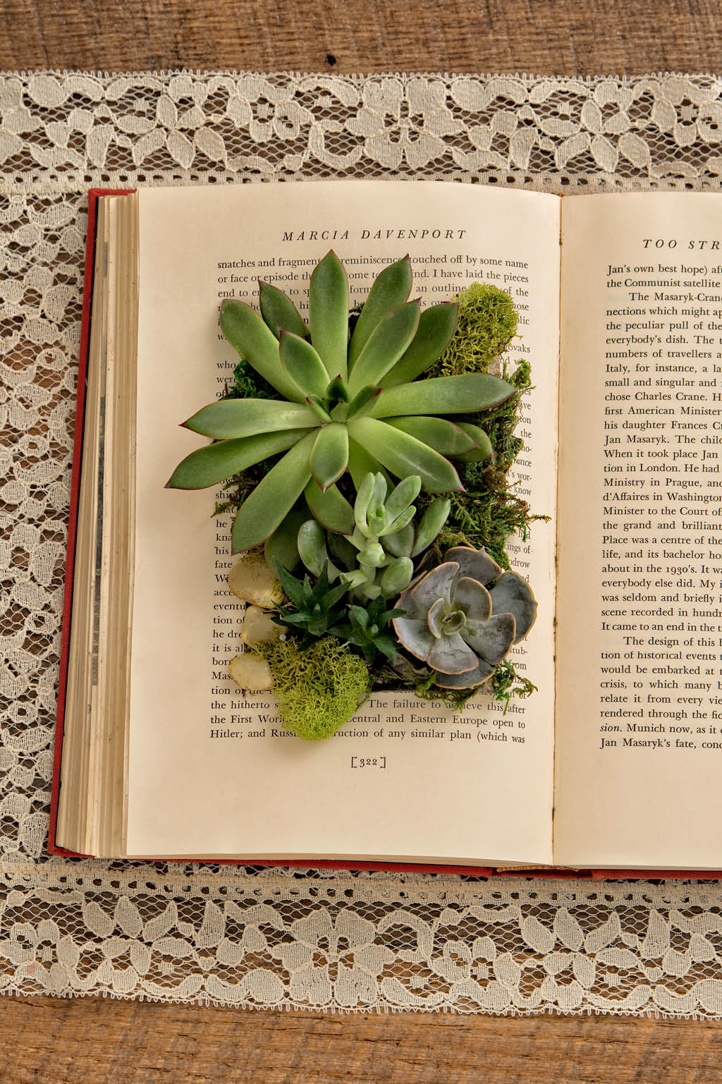 upcycled-book-succulent-garden