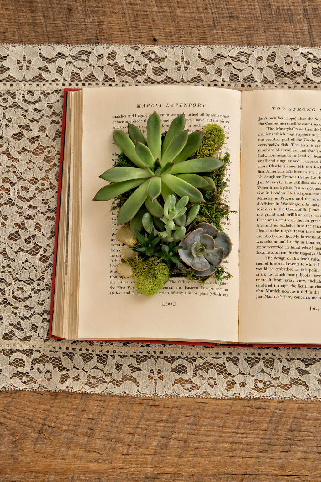 succulent-book-planter
