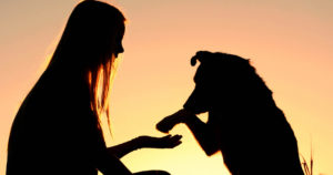 Silhouette of a dog lifting its paw to its owner