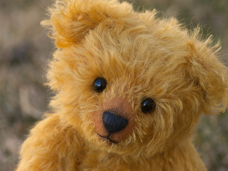 close up stuffed teddy bear