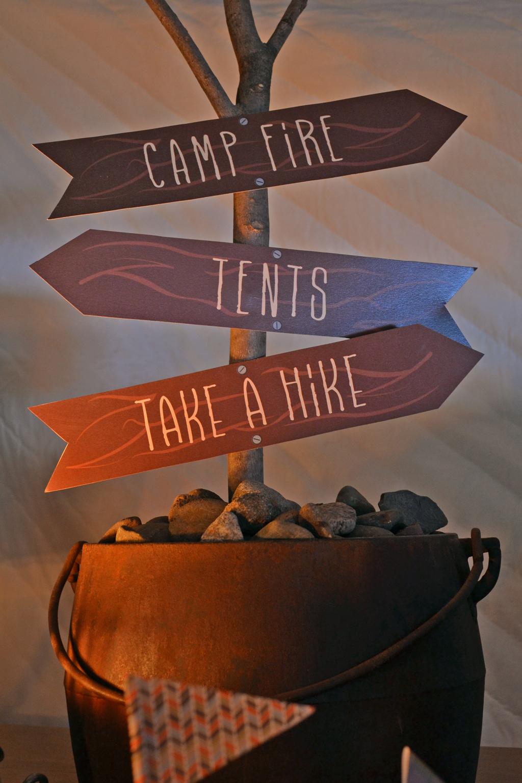 Campfire-Themed Party
