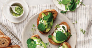 Avocado pesto tartines