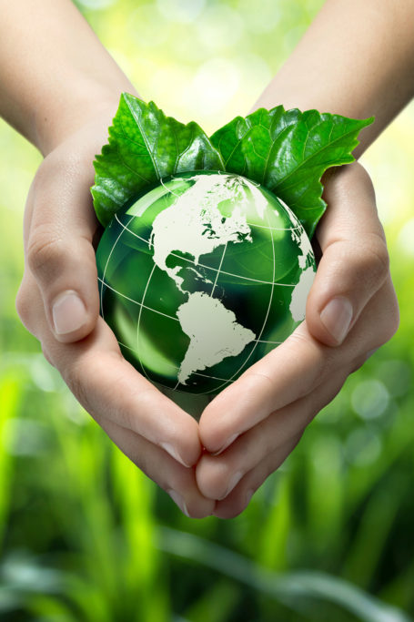 Strategies for Greener Living