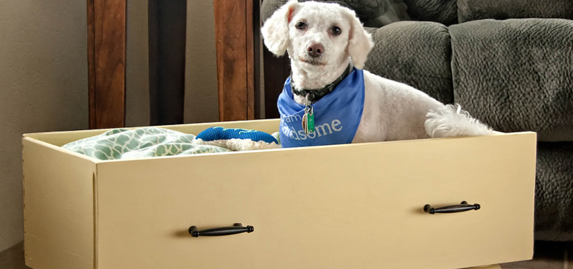 white-dog-in-upcycled-drawer-bed