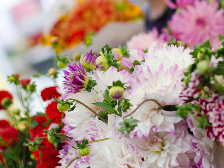 seattle-market-flowers