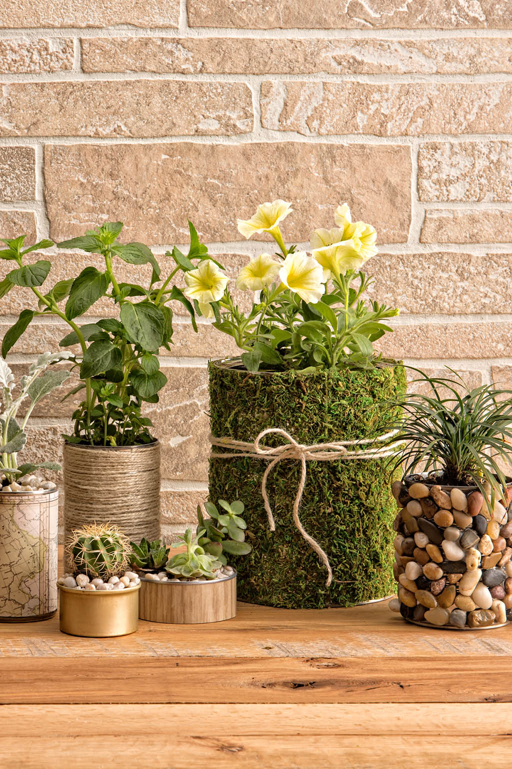 can-planters-card