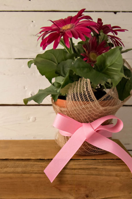 diy-burlap-potted-plant-craft