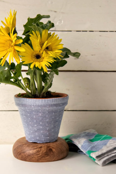 diy-upcycle-sock-potted-plant