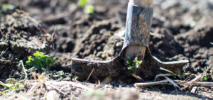 Shovel digging into dirt