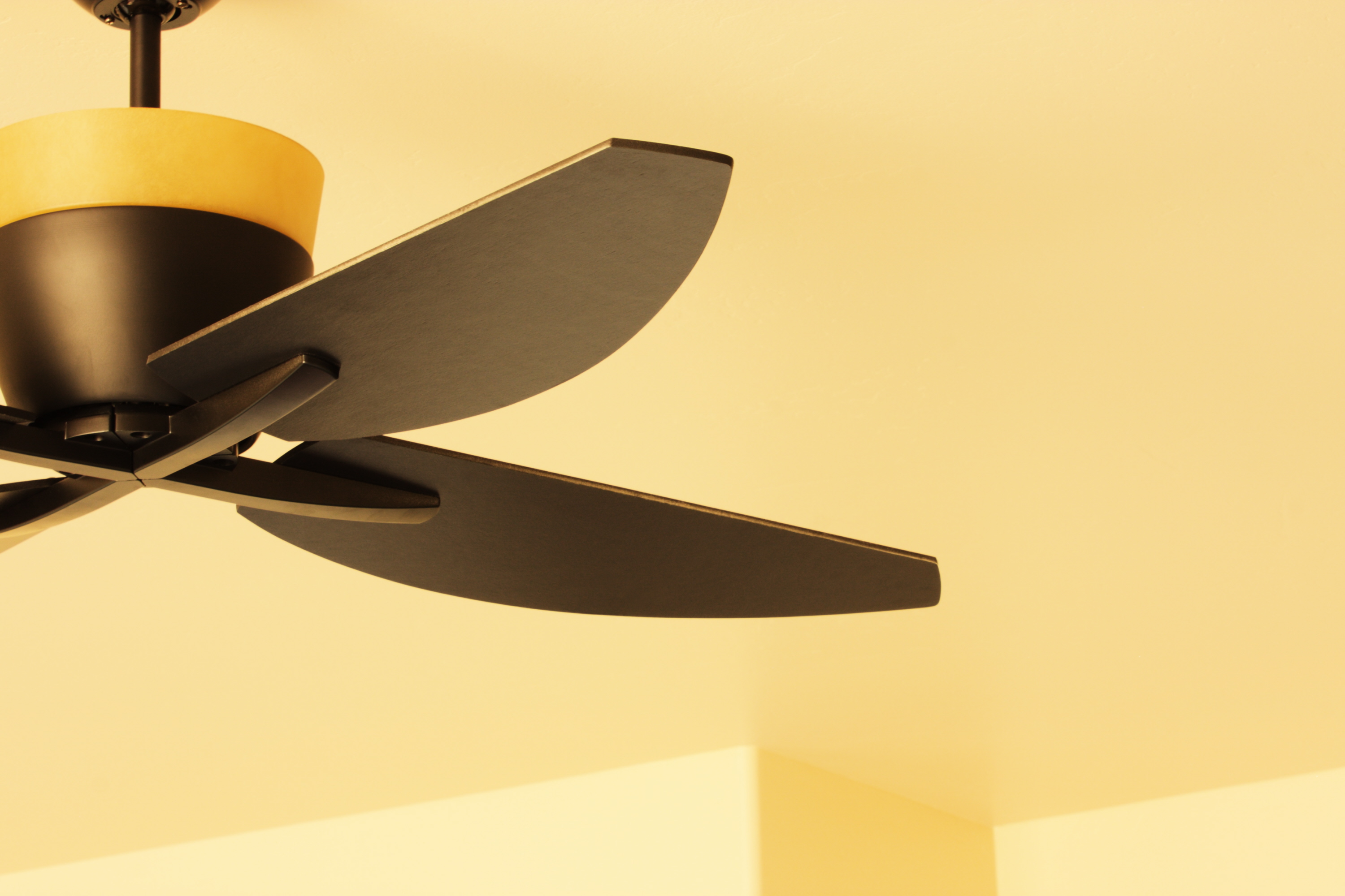 Blades of a ceiling fan