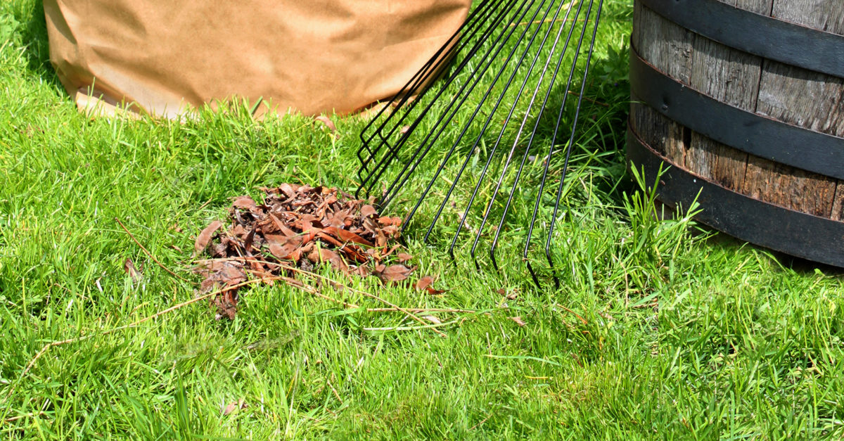easy-autumn-lawn-care-guide-american-lifestyle-magazine