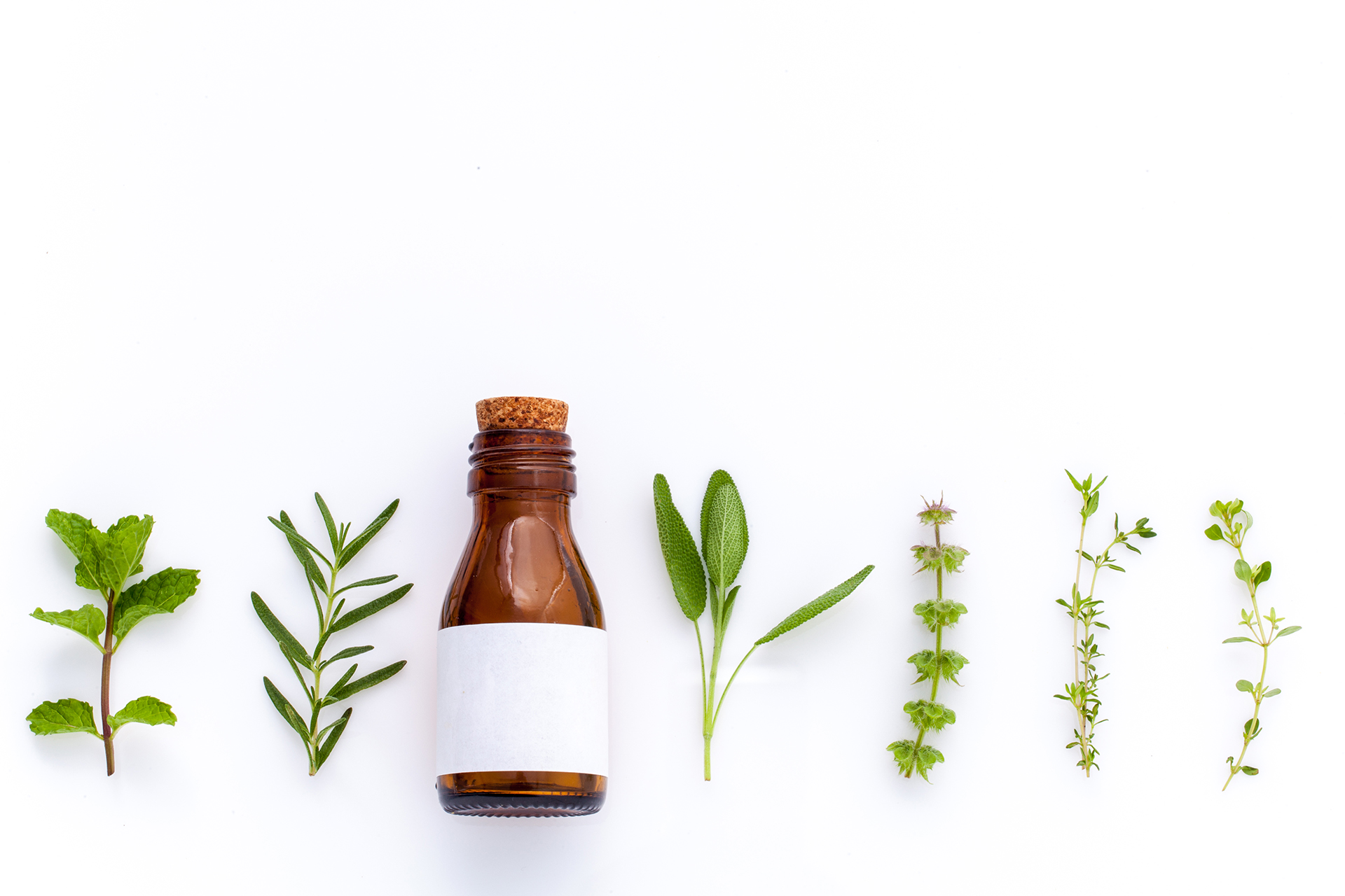 Bottle of essential oil with herb holy basil leaf, rosemary,oregano, sage,basil and mint on white background.