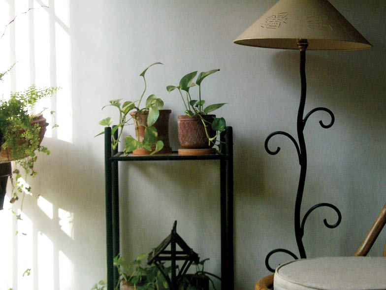 Small accent table with plants