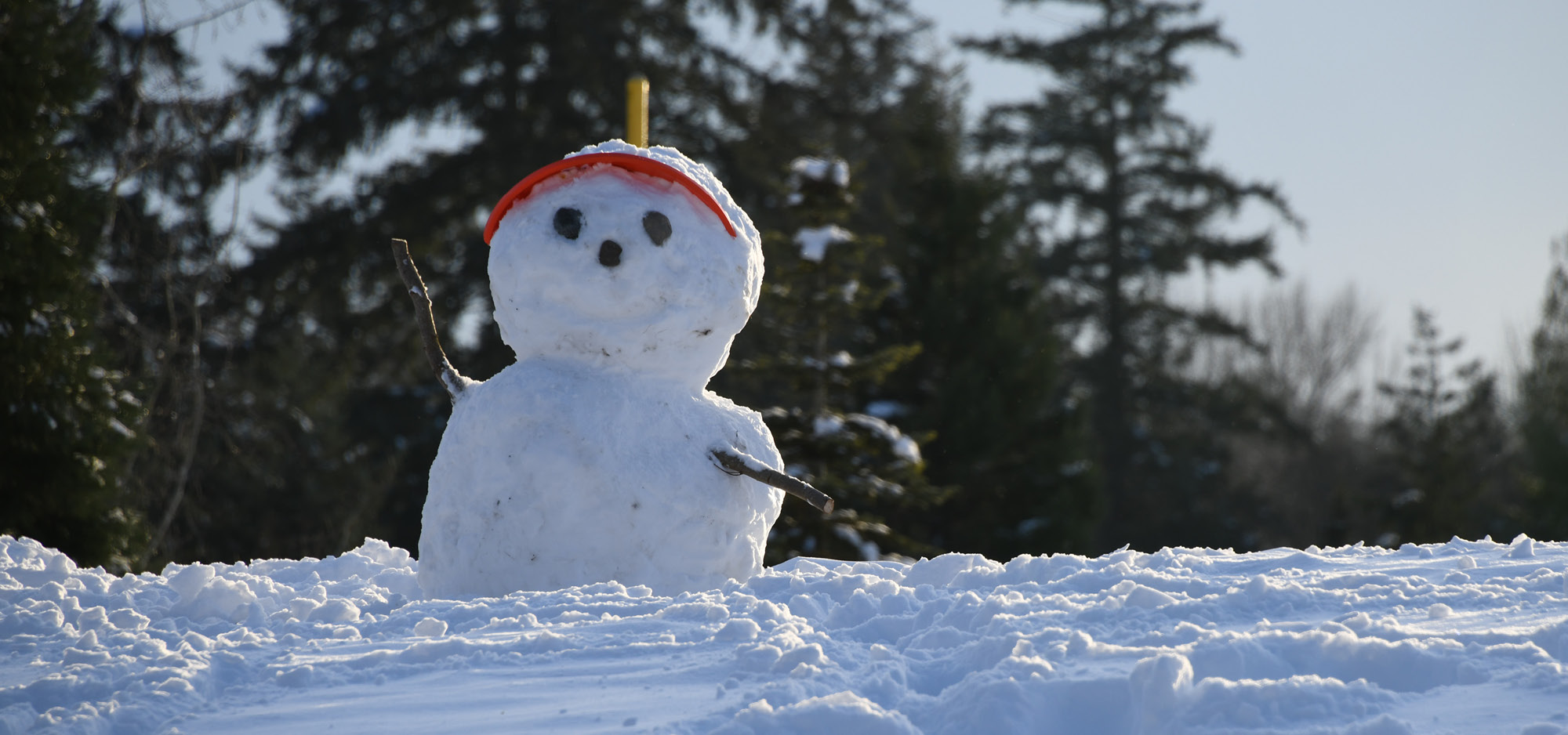 snowman on a hill