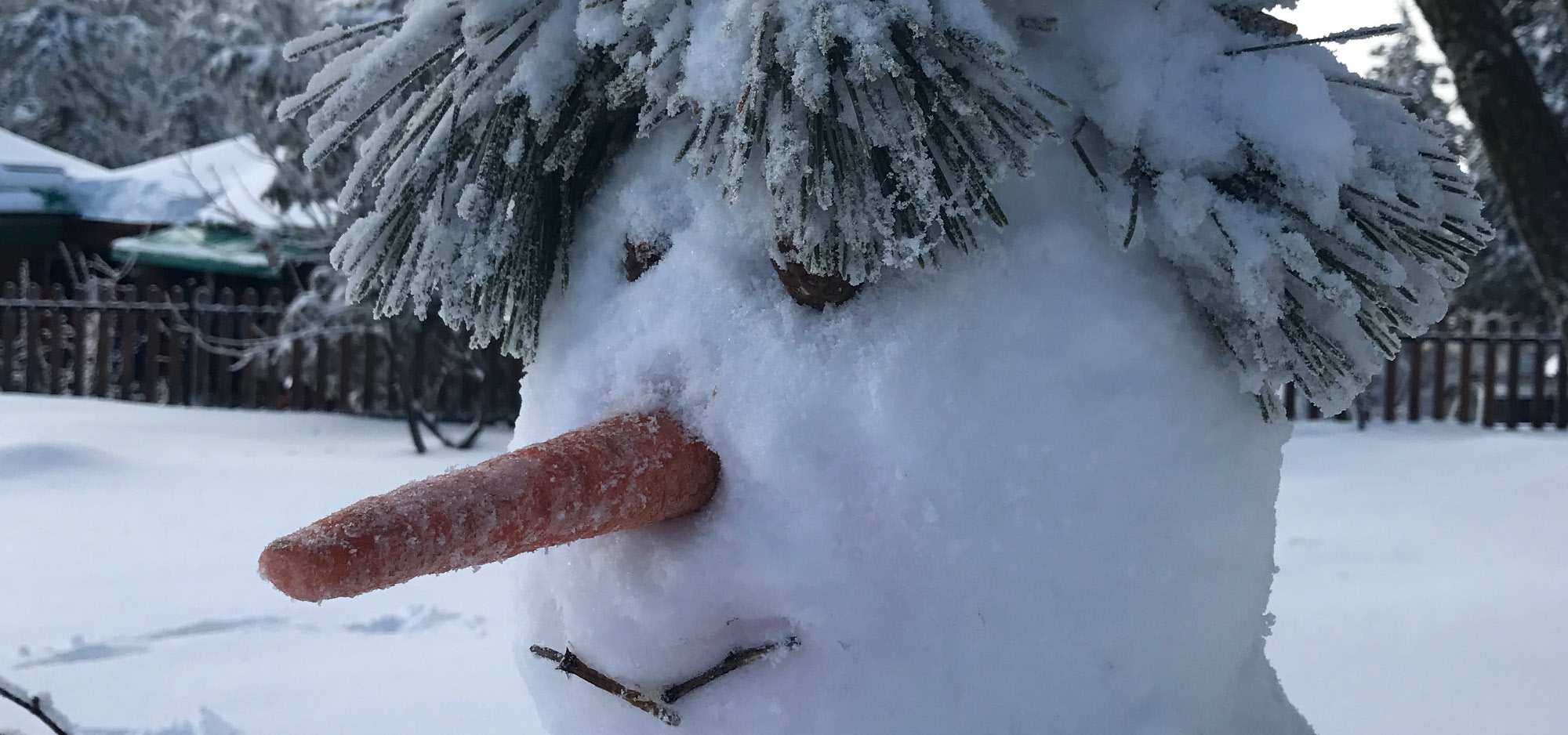 snowman with carrot nose