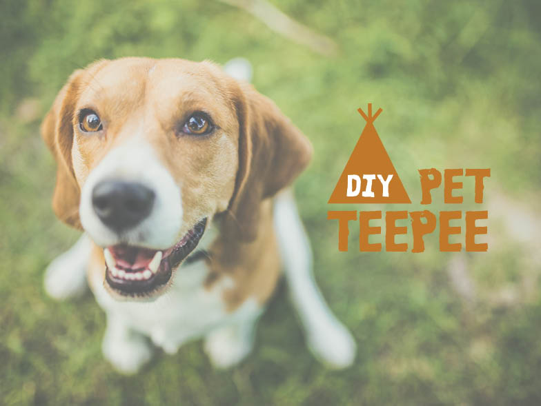 DIY Pet teepee image