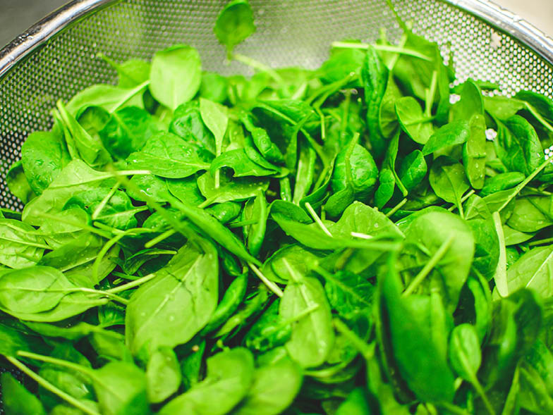 close up of spinach