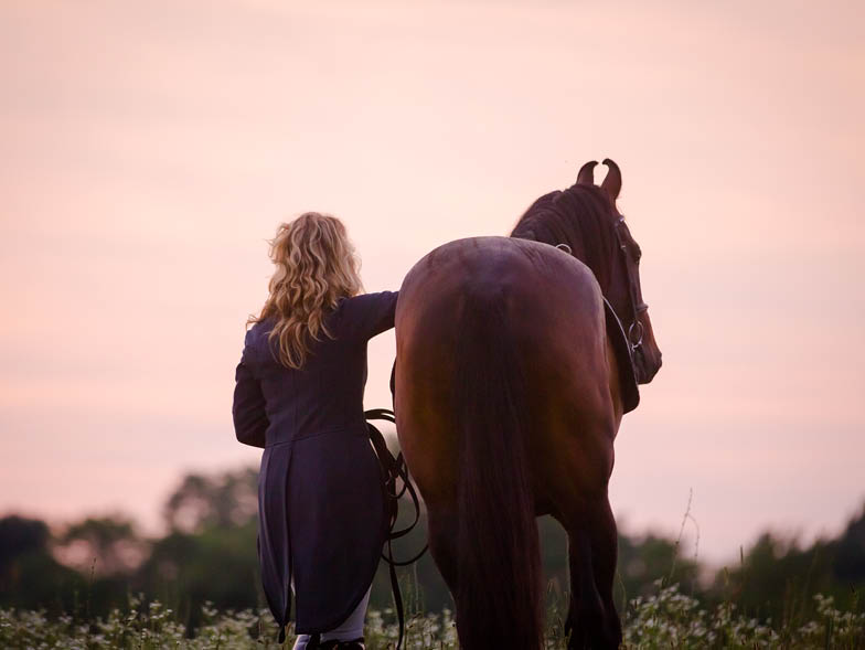 horse-at-dusk