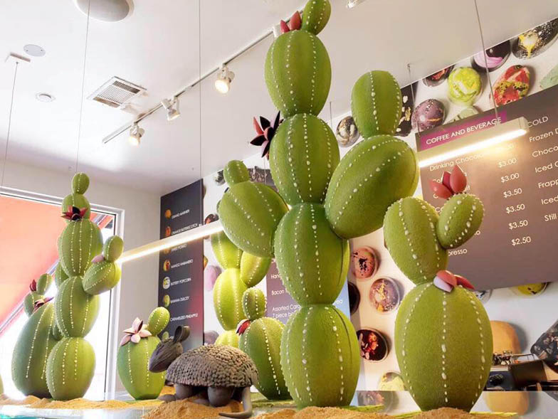 chocolate-cacti-display