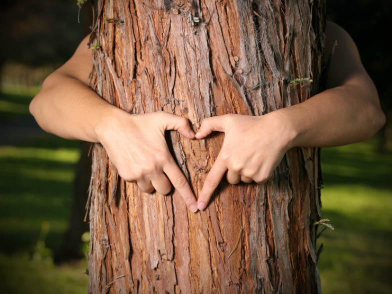 hand heart around tree