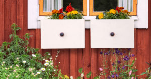 Dresser drawer flower boxes outside white framed window on a country house.