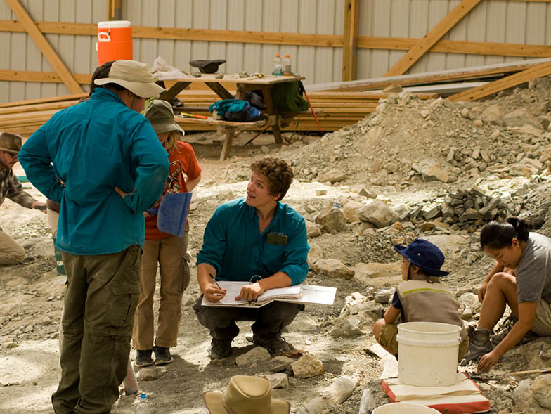 indoor-fossil-excavation