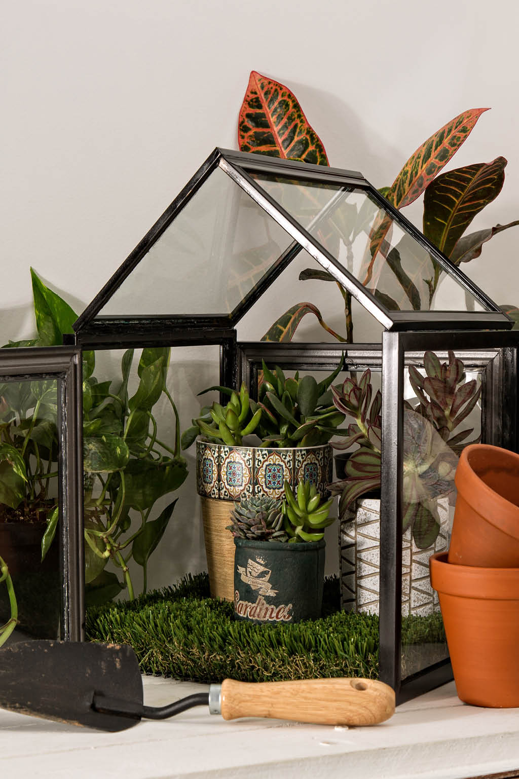 Miniature greenhouse with plants