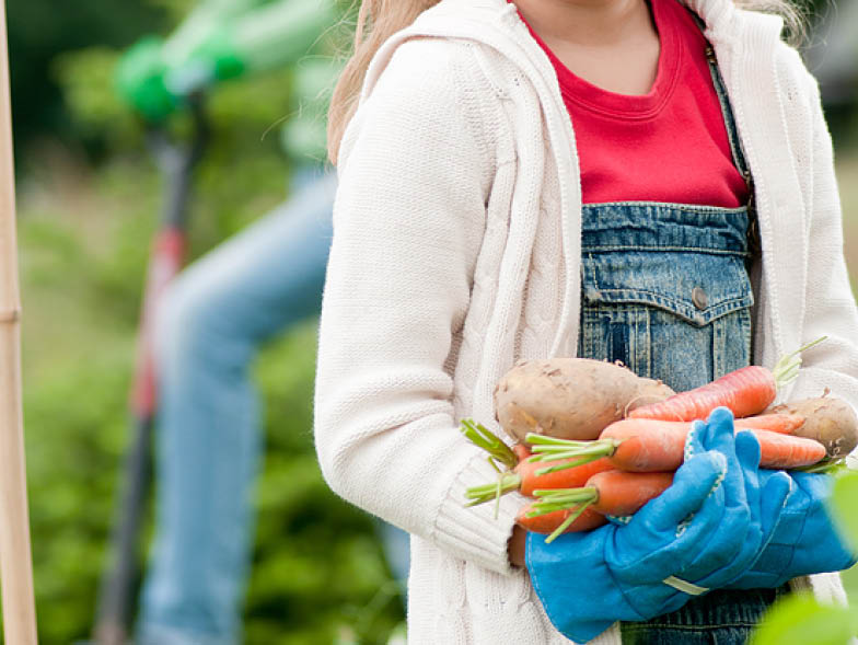Young girl holding fresh picked vegetables