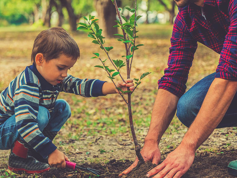 Father and son patting down soil around new plant
