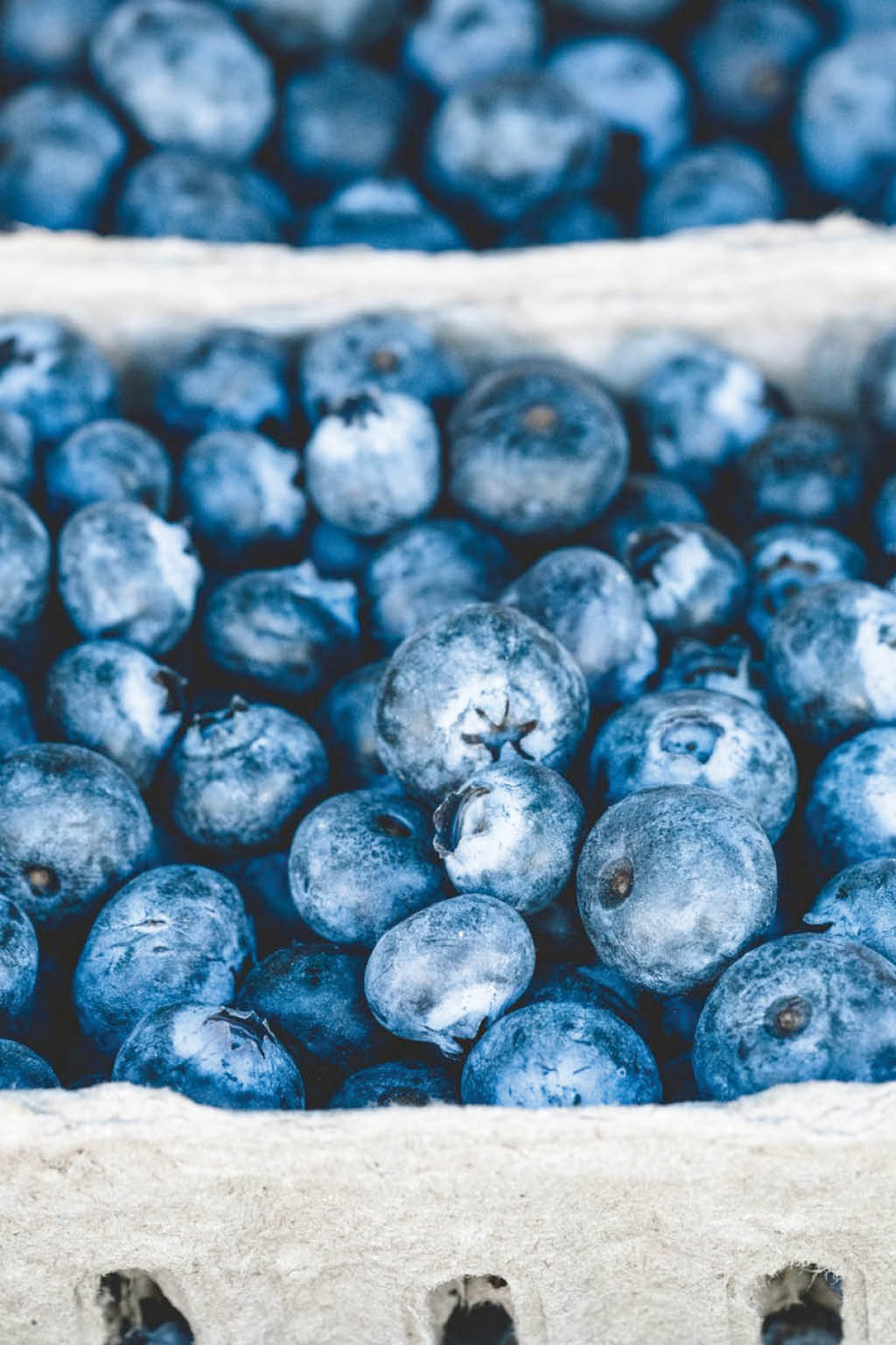 blueberry-month