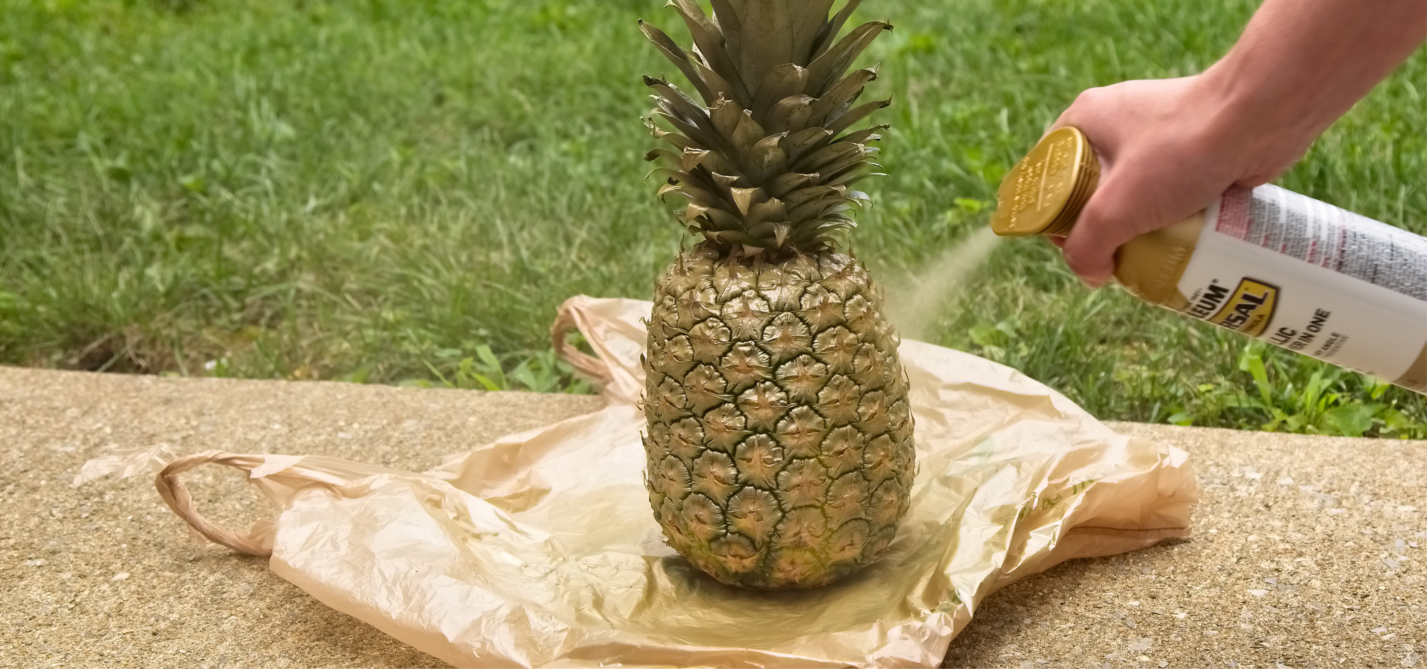 pineapple-centerpiece-step2
