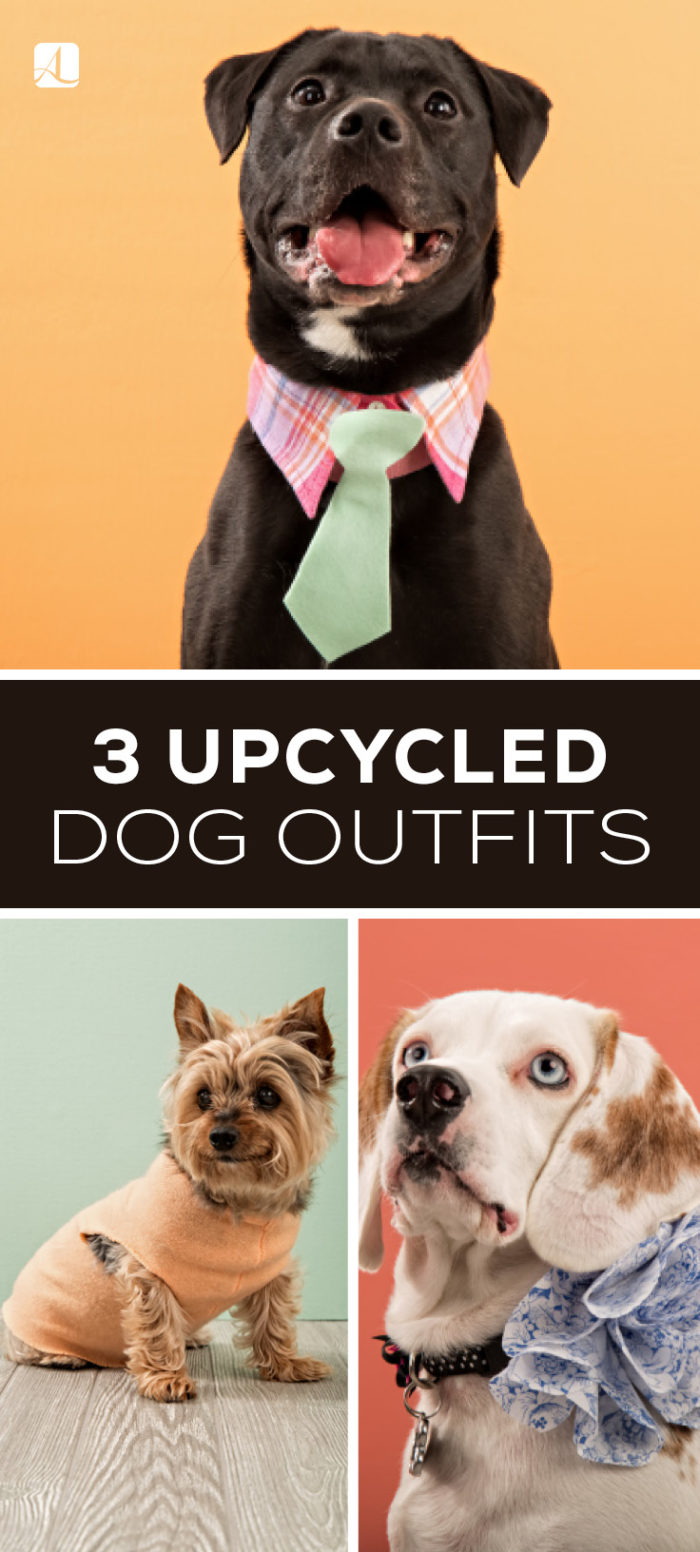 diydogoutfitspin American Lifestyle Magazine