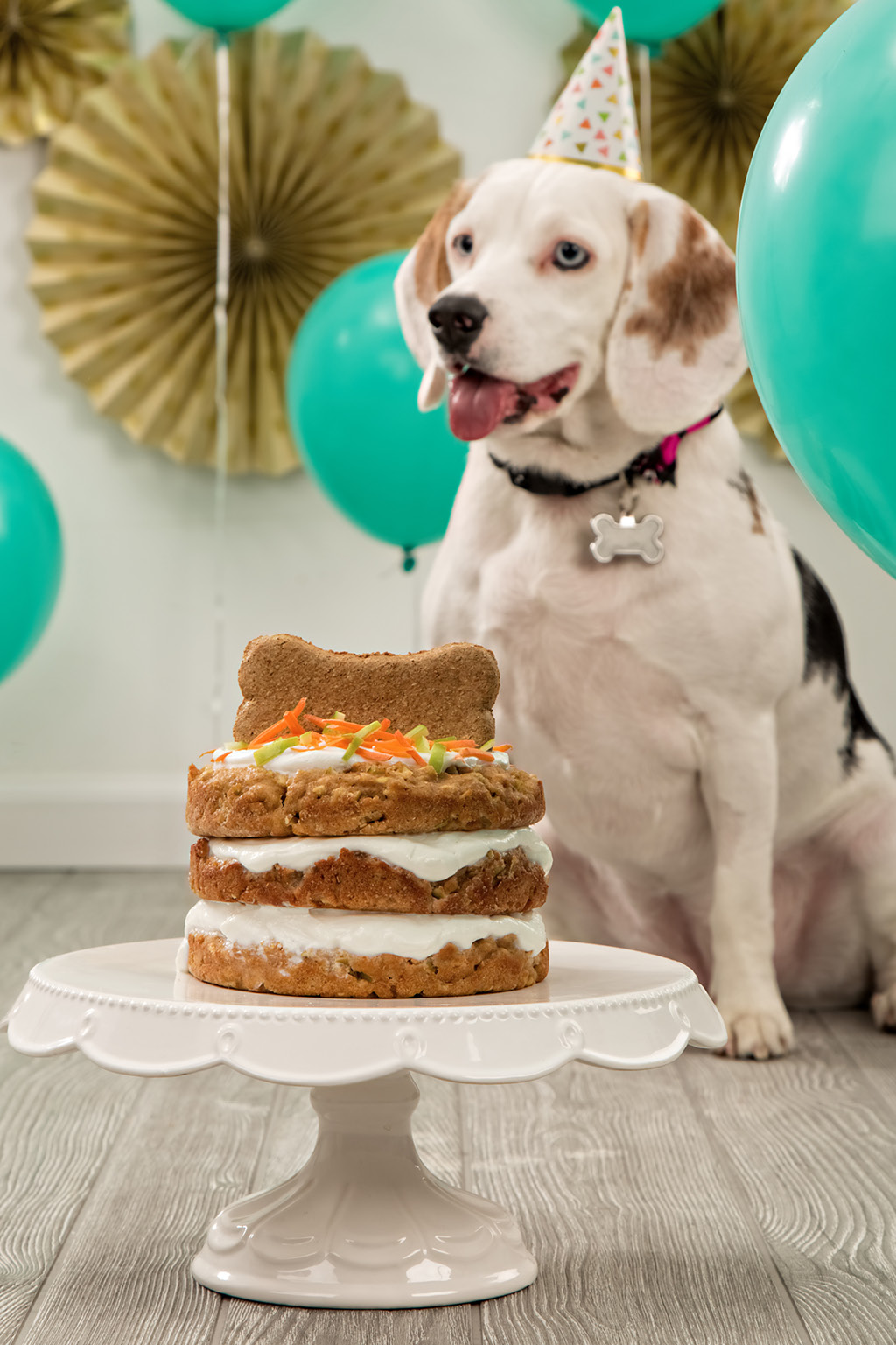dog-birthday-cake