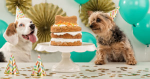 dog-birthday-cake