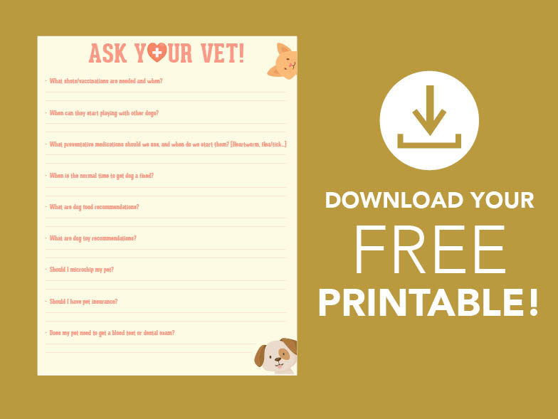 pet vet printable