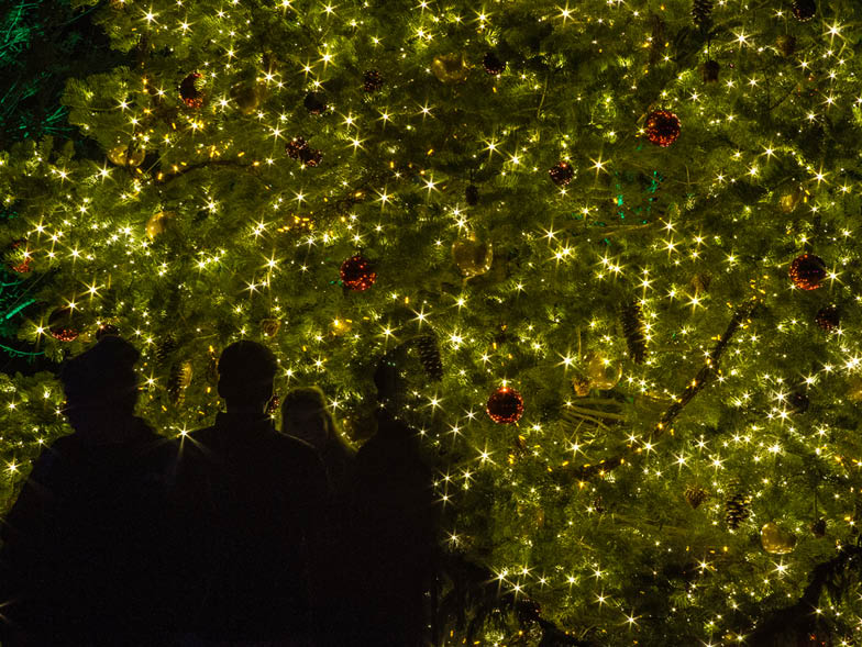 family admiring a lit up tree