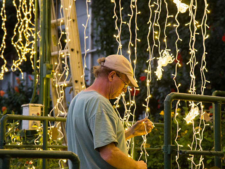 hanging lights at longwood gardens